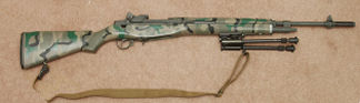 Stock and Handguard Painted