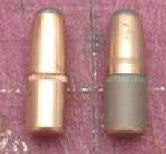 Impregnated Bullet