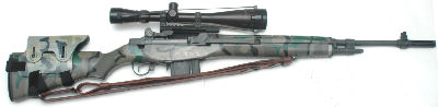 Completed Polytech M14S