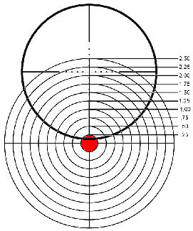 Bore Sight Image Through Scope